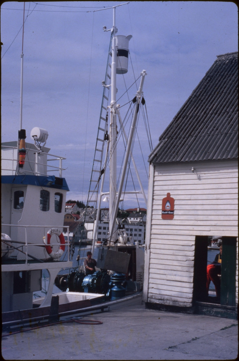 Fiskebåten "Haskjær" ligger ved kai ved Hans Johnsens hvalkjøttmottak i Kopervik.