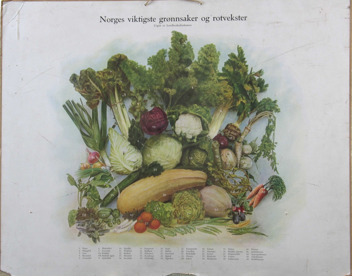 Tegning av ulike grønnsaker, navn på hver av disse.