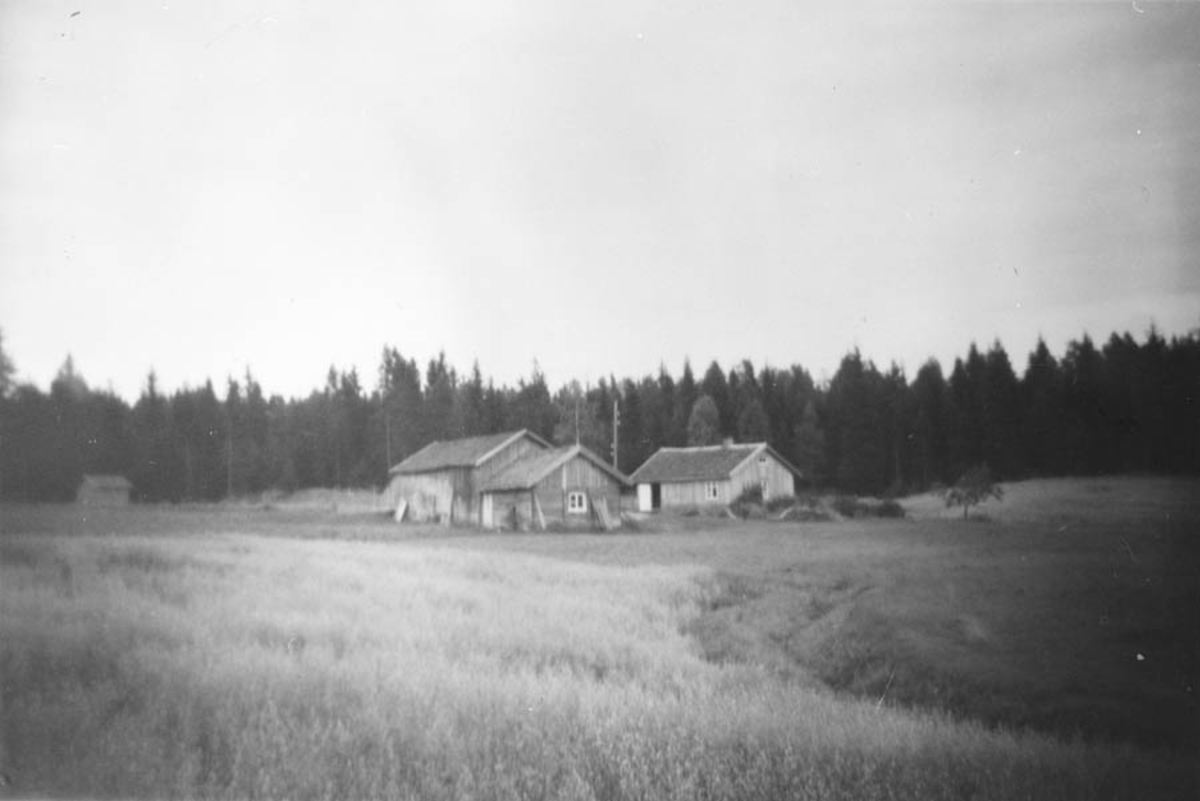 Myrvoll gård i Gaupestimarka.