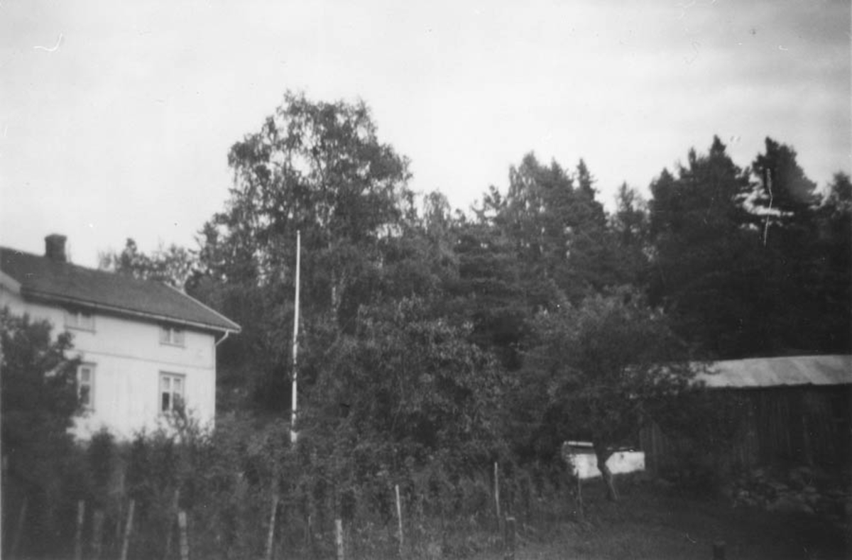 Gård/hus i skogkanten mellom Tømt og Myrbråten.