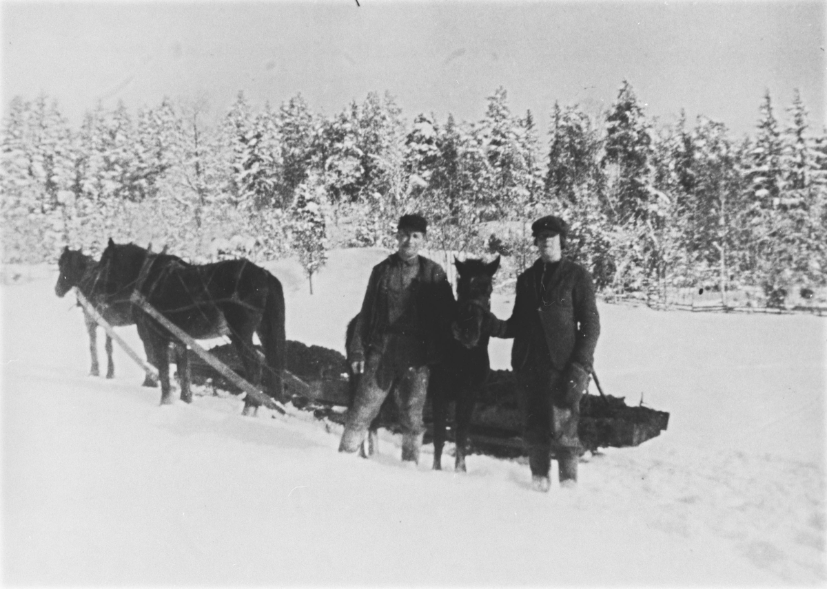 Utkjøring av gjødsel. Oscar og Jens Børresen med to hester.