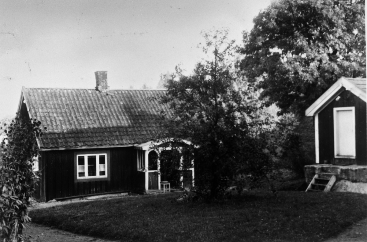 Huset Bastiansberget, inngangsparti
bygning ved siden av
løvrike trær