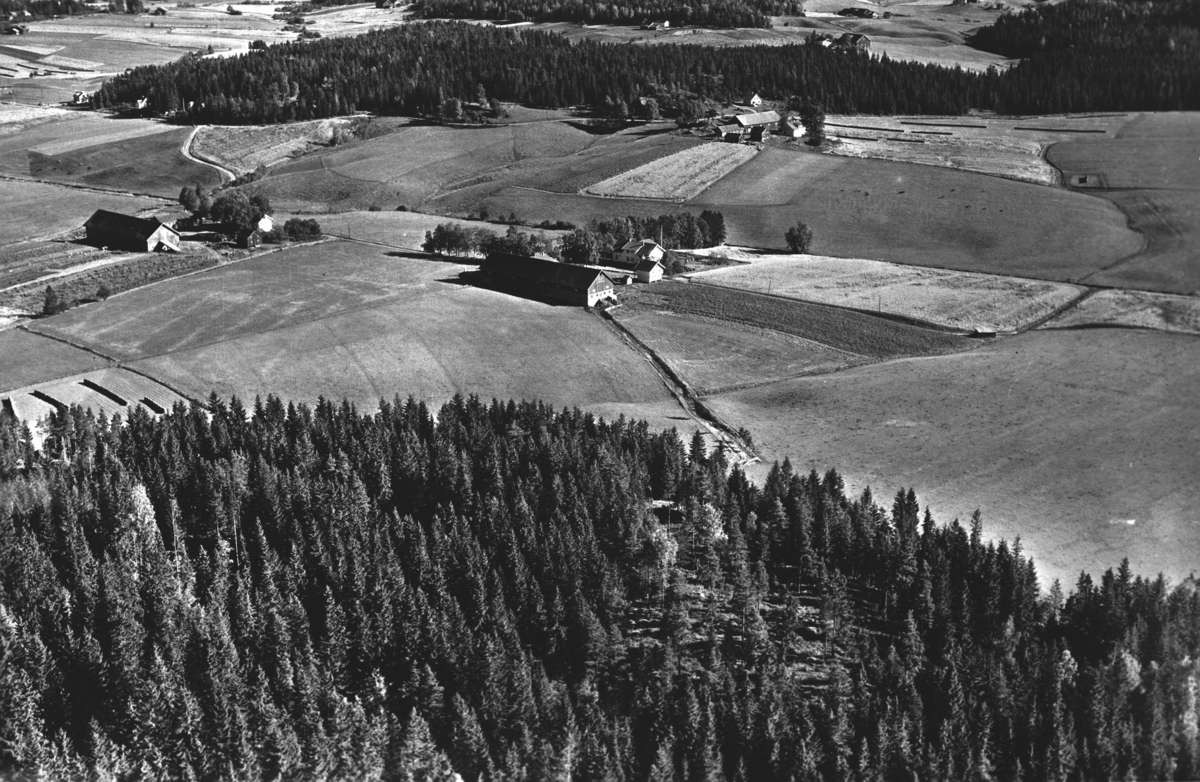 Flyfoto av Hauger nordre (t.v.) og Hauger søndre (t.h.).