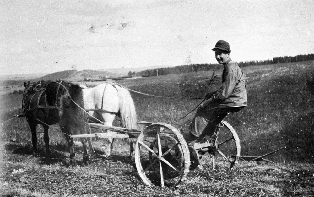 Karl Kragerud på slåmaskin.
Slåmaskin trukket av to hester