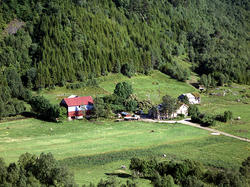 Gammelsæter, gnr 92 bnr 1 og gnr 92 bnr 4