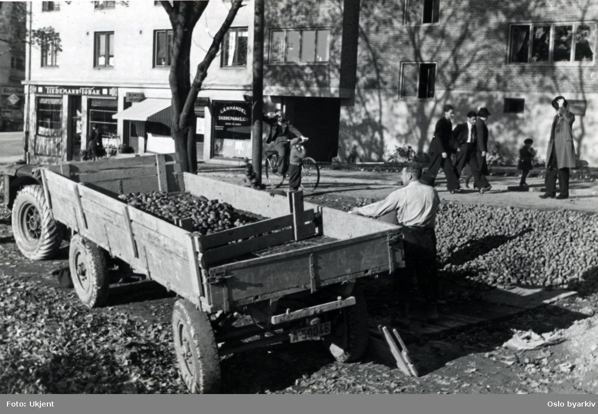 Lemping av poteter fra lager / fordelingsplass over på traktorkjerre ved Frydens gate (daværende Frydenbergveien) under krigen. Dyrket på Ola Narr-området. Tobakksbutikk og lærhandel i bakgrunnen.