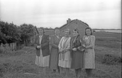 Frå Bergan.(Filmbeholder 28984)