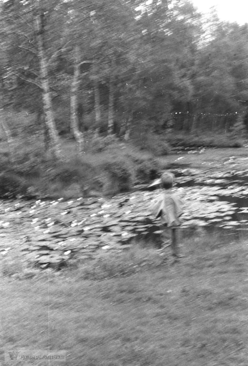 Olsok på Romsdalsmuseet...Grytten bondekvinnelag.