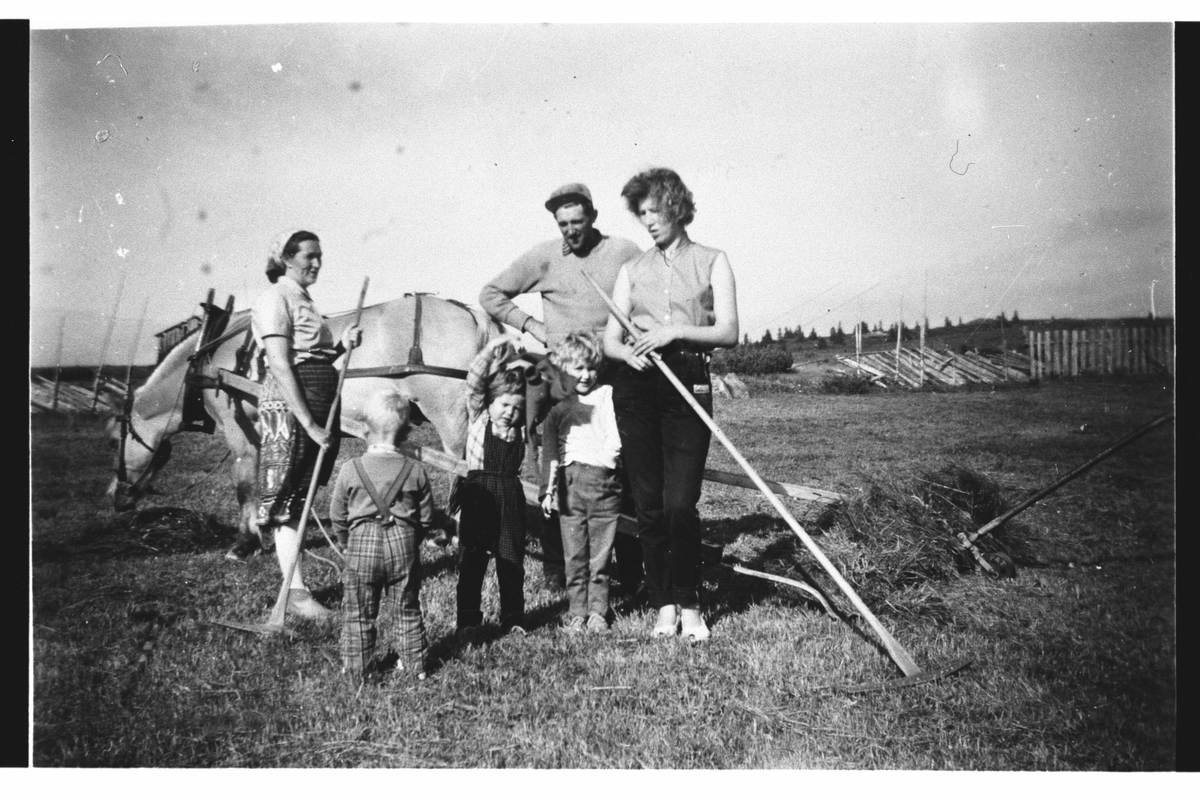 Hest med sleperive på Hovda 1960.
Frå v.Ragnhild Pålrud med ryggen til Vidar Skredderberget,Sissel Haglund,Reidun Skredderberget,Ola Skredderberget og Borghild Snarheim Skredderberget.