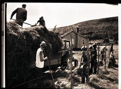 Høyonn. Gruppe,traktor,bluse og buserull.