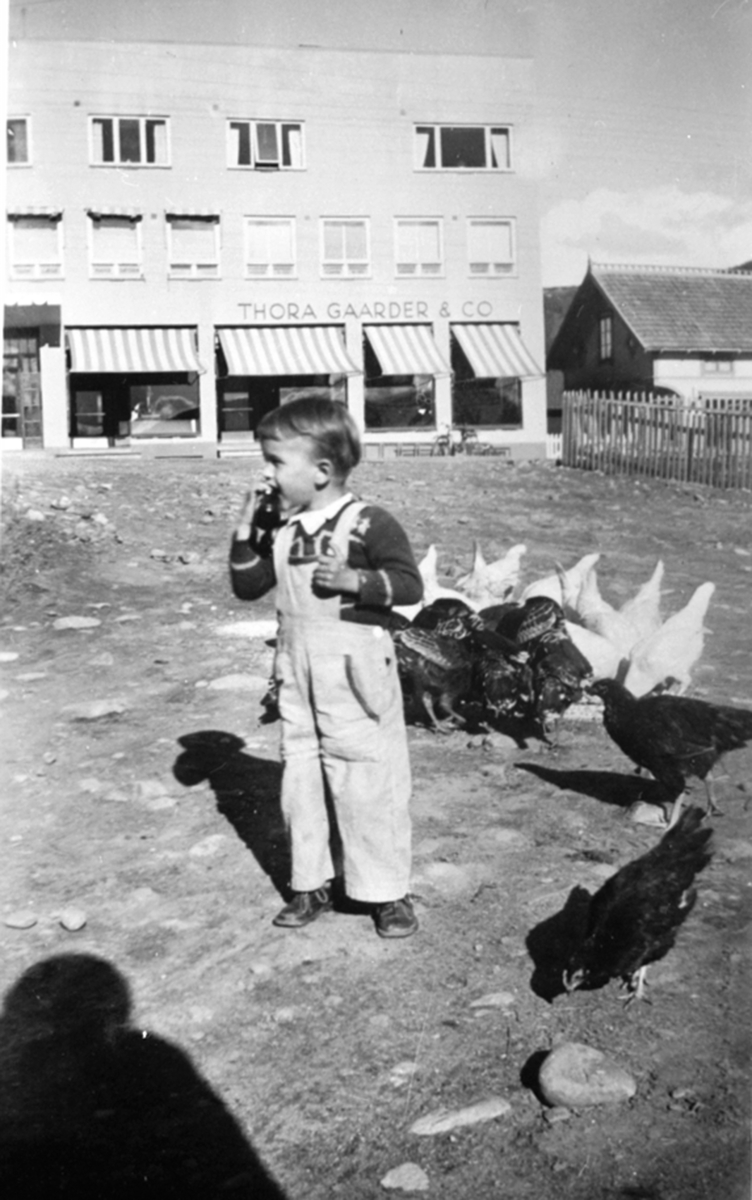 Gudahlgården bygd 1946, Furnesvegen, Brumunddal. Thora Gaarder &Co. Liten gutt med Anna Aas sine høner i forgrunnen.
