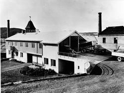 Tre lastebiler leverer poteter til A/S Brumunddal Potetmel o