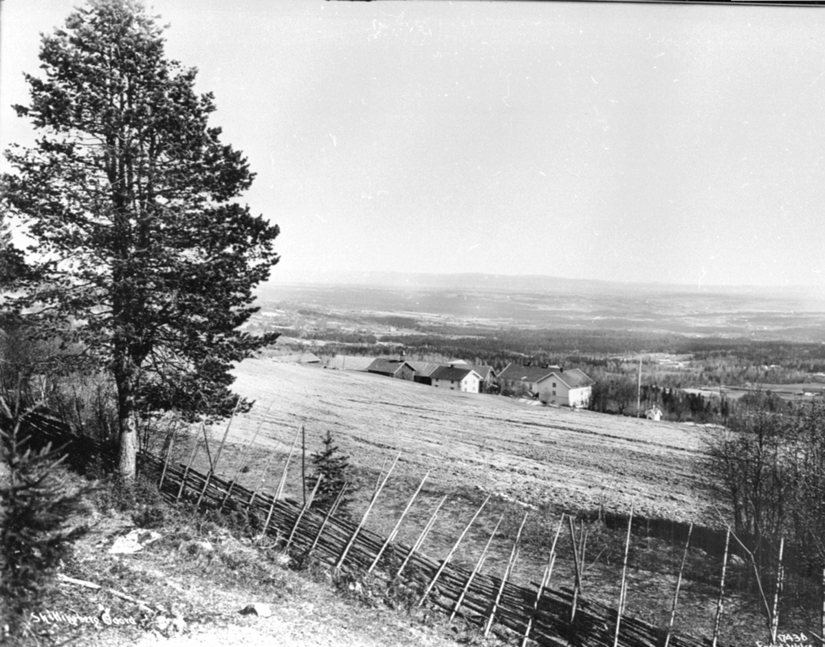 Utsikt mot Skjellungberg gård, Furnes, Ringsaker.