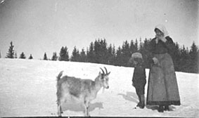 GRUPPE: 2, HELENE HALVORSDATTER, SØNNEN OLAF FØDT 1913, GEITA: BLÅDOKKA, VINTER, HELSTADSTUA