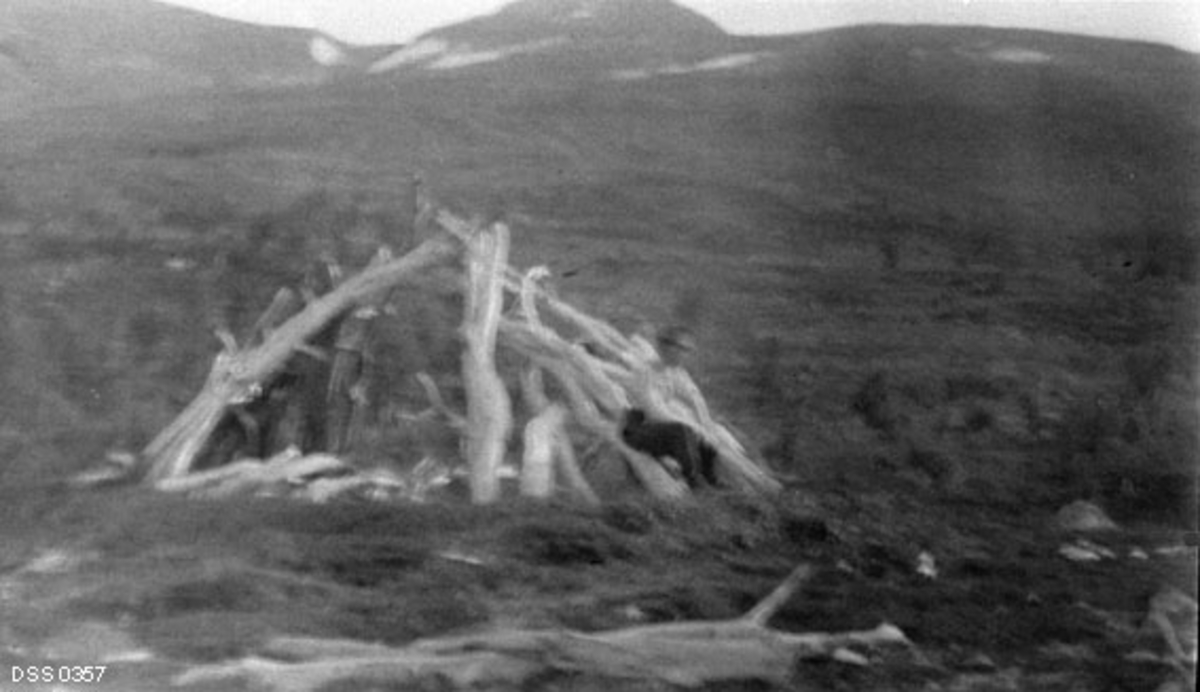 Kjegle- eller pyramideformet oppstilling av trevirke i Tverrelvdalen i Målselv kommune i Troms, fotografert i 1912.  En mannsskikkelse satr på konstruksjonen da bildet ble tatt.  Den avbildete konstruksjonen må være skjelletet etter ei samisk gamme.  Terrenget omkring framstår ikke så tydelig fordi opptaket er uskarpt, men vi aner at det domineres av gras- og lyngvegetasjon, og at det ikke finnes skog.  Fotografens poeng har sannsynligvis vært at de svenske reindriftssamene som oppholdt seg i Troms sommerstid har forlatt denne leirplassen etter å ha avskoget det omkringliggende terrenget.  Norske skogfunksjonærer var bekymret for de virkningene en slik overeksploatering av bjørkeskogen i fjellbandet fikk for skogens reproduksjonsevne, og mente at den samiske aktiviteten innebar en stadig senkning av skoggrensa.  Skogforvalter Ivar Rudens beskrivelse av forholdene i Tverrelvdalen på den tida da dette fotografiet ble tatt er gjengitt under fanen «Opplysninger».