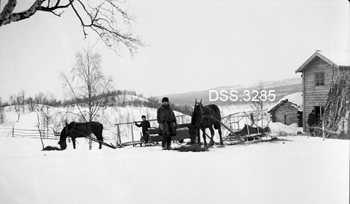 Kvil med foring av hester på garden Kullen i Jovassdalen ved Terna i Sverige.  To menn med hver sine hester forspent nesten tomme sleder (antakelig forsleder) med høge grinder.  Til høyre gavlene på to bygninger, et våningshus med horisontal panel og et laftet uthus.  Vinteropptak. 