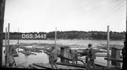 "Skogkongressen i Oslo 1930"