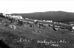 Gårdsbebyggelse og hesjer i Estil i Mebygda i Sørli