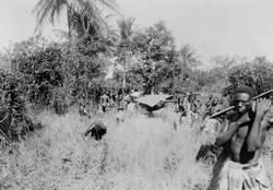 Mosambik. 1914. Fra en tur ut i bushen. Afrikanere bærer eur