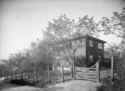 Villa i Bergsbakken 6 tilhørende lærer Erik Øren