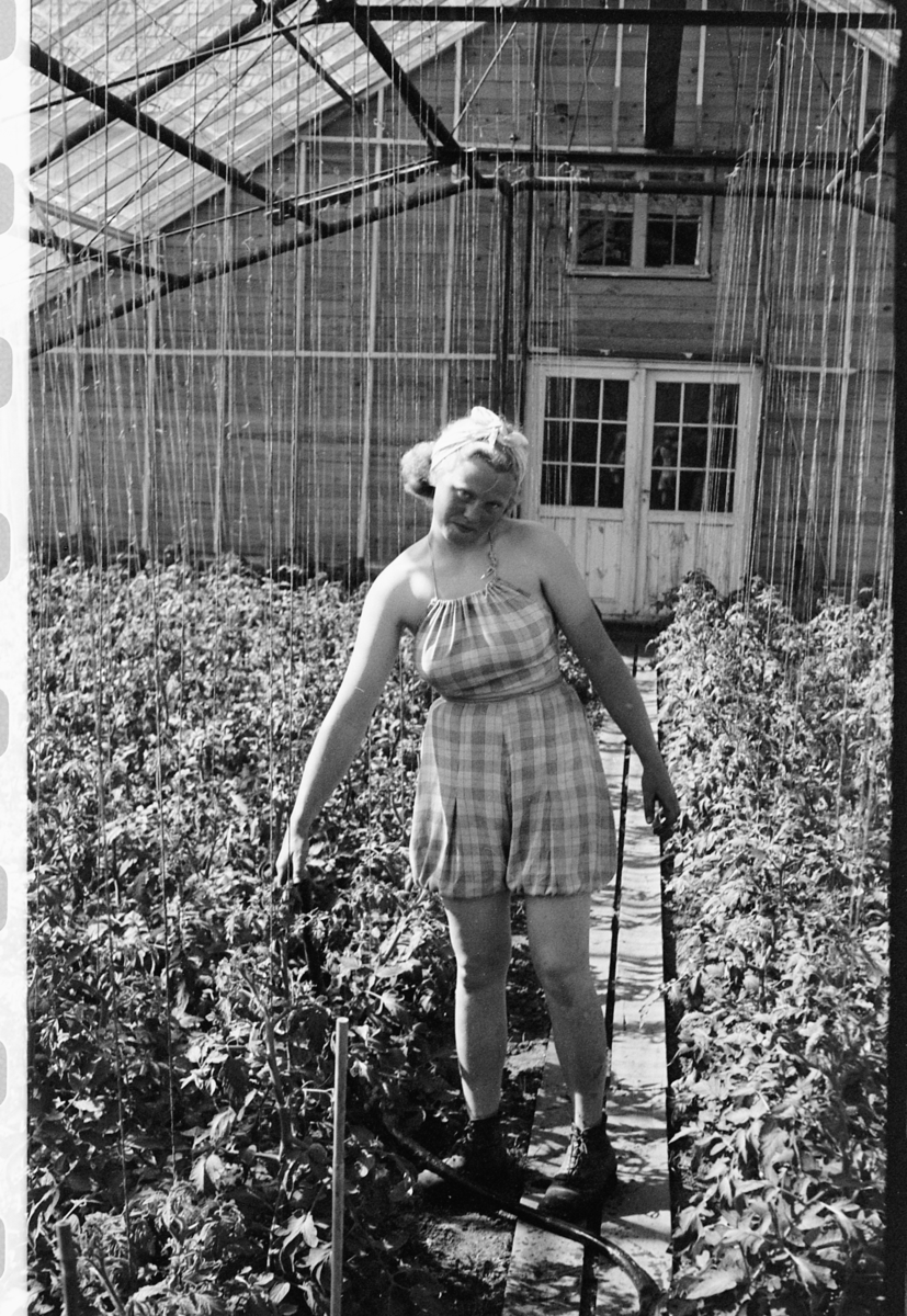 Ukjent kvinne i et drivhus på et gartneri. 