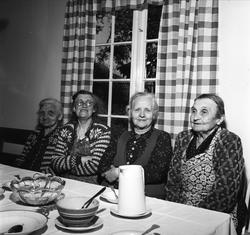 Fra Menighetens feriehjem ved Lian