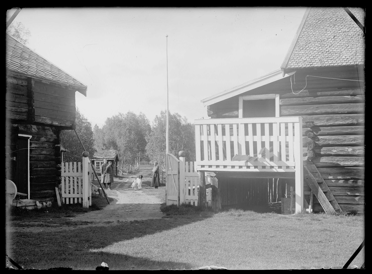 Gårdstunet på Sætersgård på Tolga i 1925. Tre personer og hund i bakgrunnen.