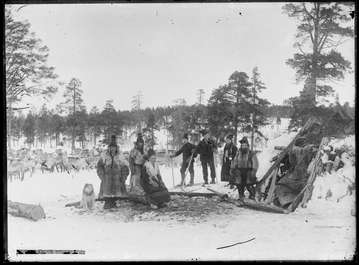 Gruppeportrett av sju personer, hvorav fem i sør-samiske drakter. To personer på ski. I bakrunnen reinsflokken. Vinterlandskap med gamme til høyre i bildet.