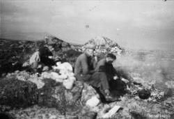 Kafferast under måssåplukking