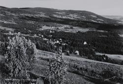 Follebu. Aulestad i forg. Follebu.