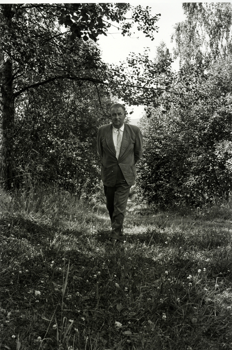 Alf Prøysen i Ringsaker i 1961, foto Johan Brun for Dagbladet, negativer på Hedmarksmuseet