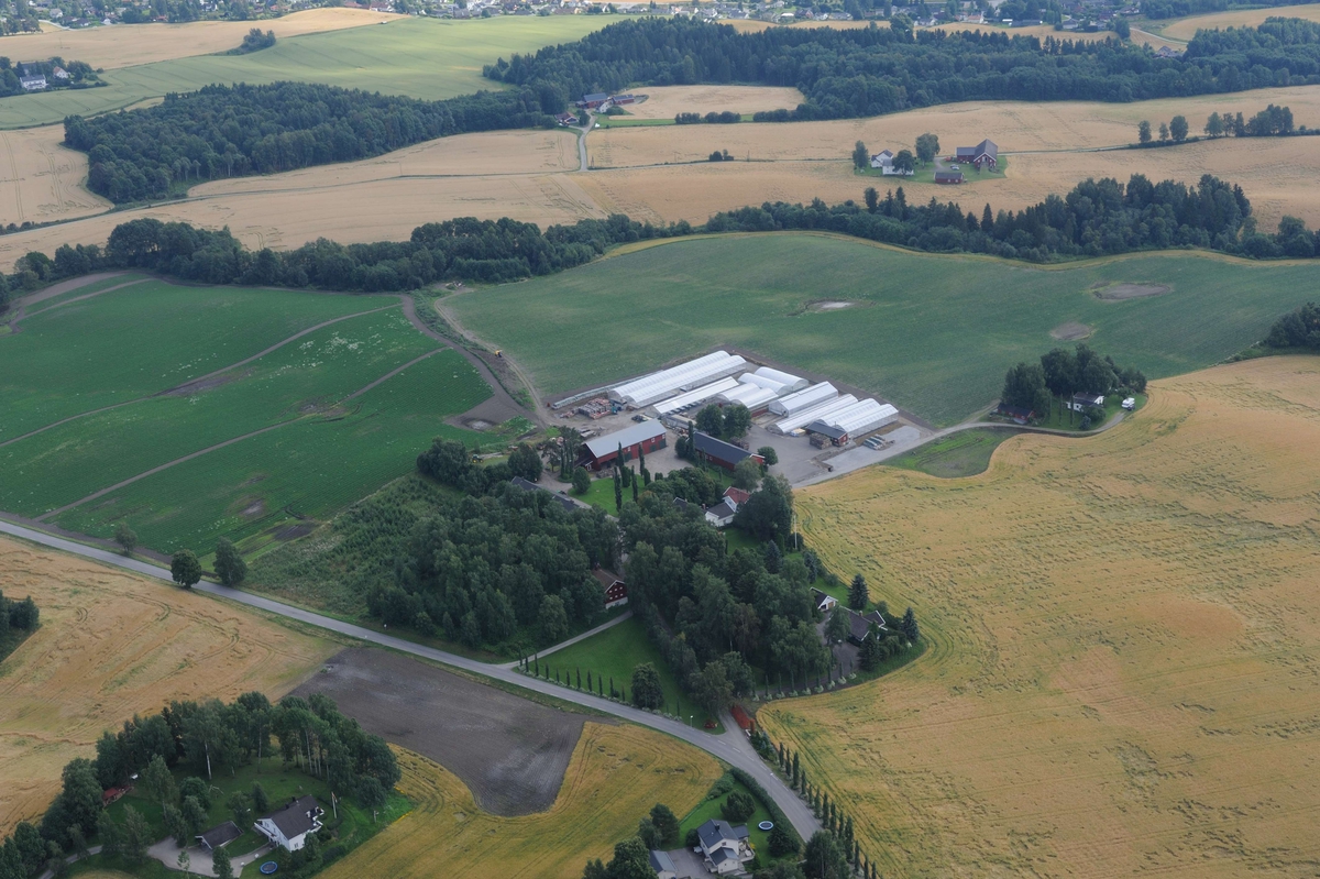 Flyfoto. 
Luftfoto utført i forbindelse med Vangsboka. Gårder i Vang, samt noe Hamar by fra lufta. 