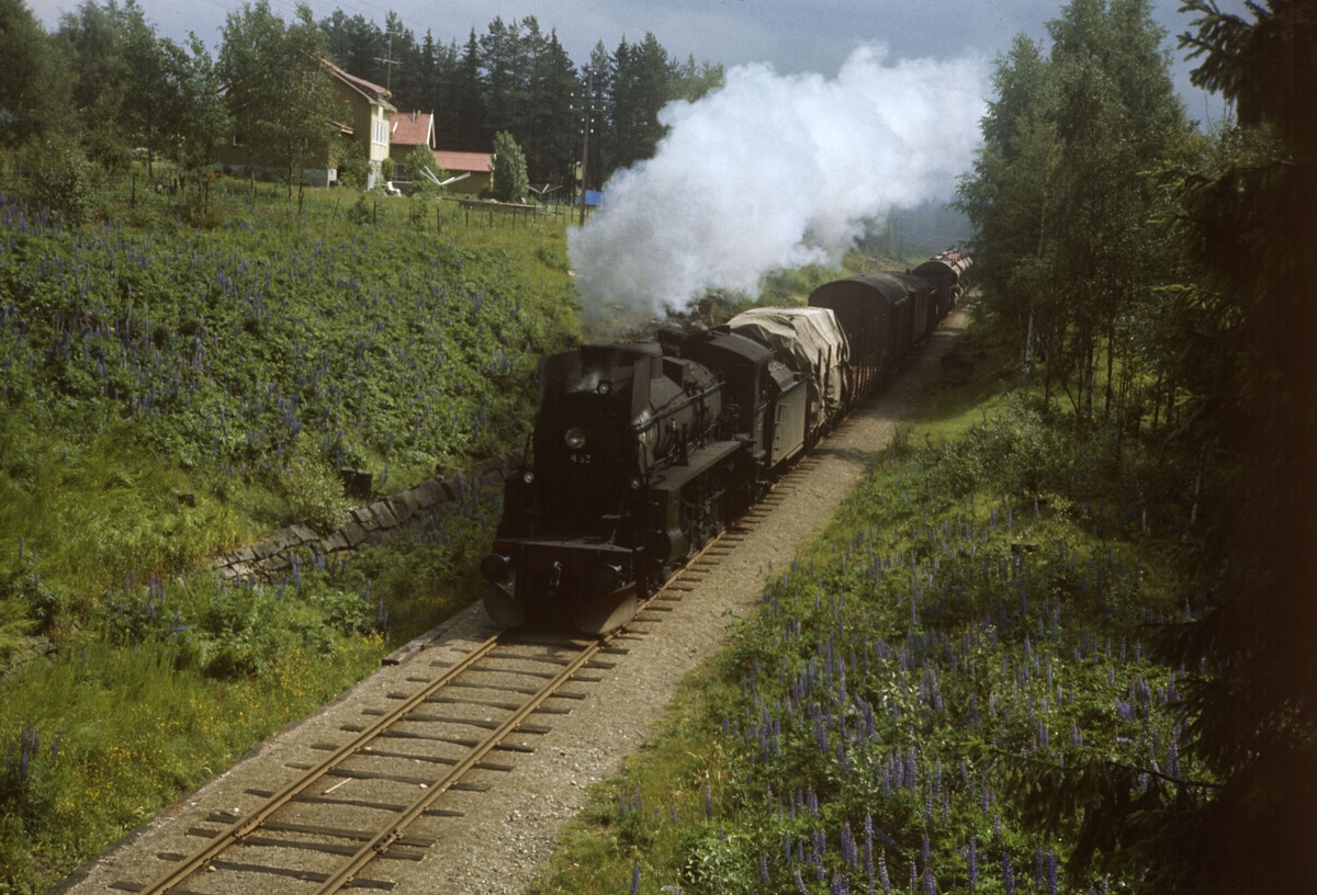 Godstog på Solørbanen