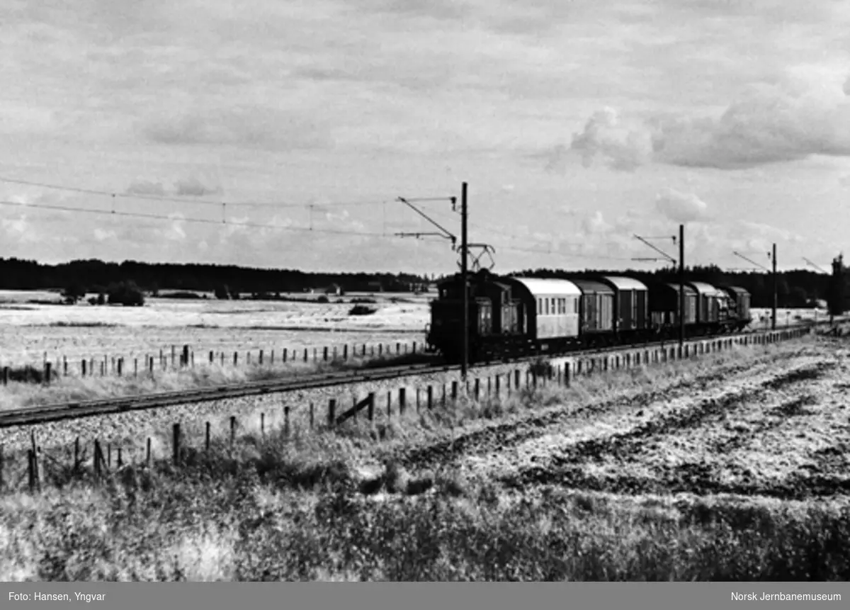 Godstoget på Østre linje, trukket av elektrisk lokomotiv El 10