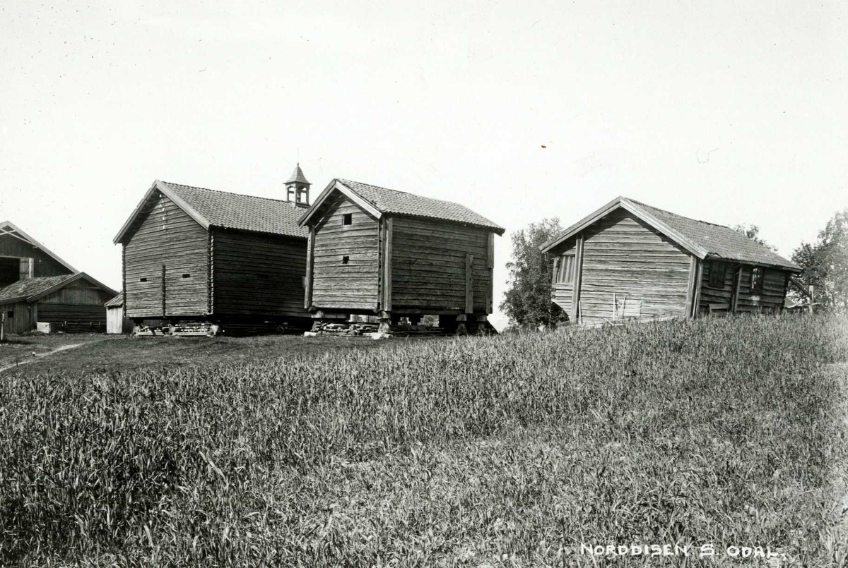 Søndre Disen, "Disi", Sør-Odal, Hedmark 1925. To stabbur og en kjellerbu sett fra baksiden.