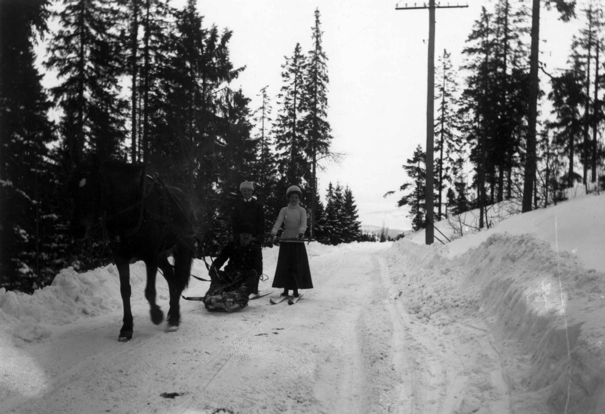 Oslo. 1908-1910. Vintermotiv. Skog. Brøytet vei. To skiløpere og en mann på kjelke trukket av hest. 