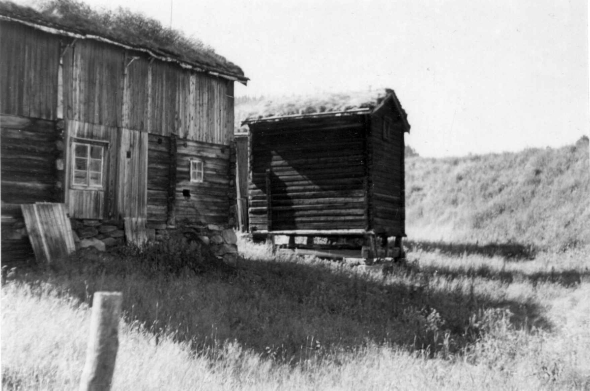 Refset gjelan, Rognes (Støren) - Midtre Gauldal - Sør-Trøndelag. Fjøs og bur. Foto: Arne Berg, juni 1953.