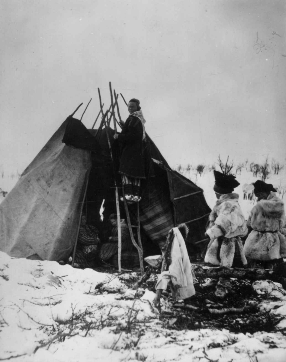 Teltduken tas av, en kvinne står på stigen, to pelskledde personer i forgrunnen og to i teltet. Antagelig i Finnmark.