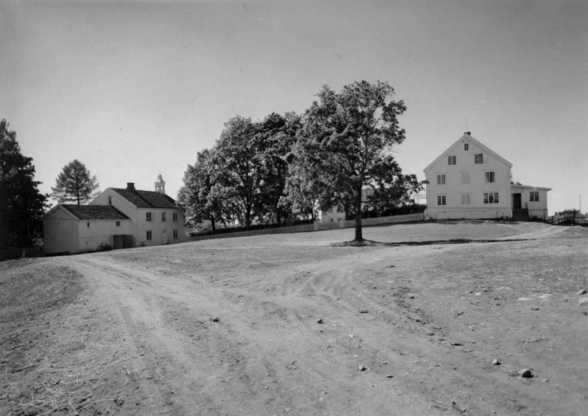 Ålstad, Hamar, Hedmark. Fra dr. Eivind S. Engelstads storgårdsundersøkelser 1959. Fra tunet med de eldste bygninger til venstre og
hovedbygningen til høyre. 