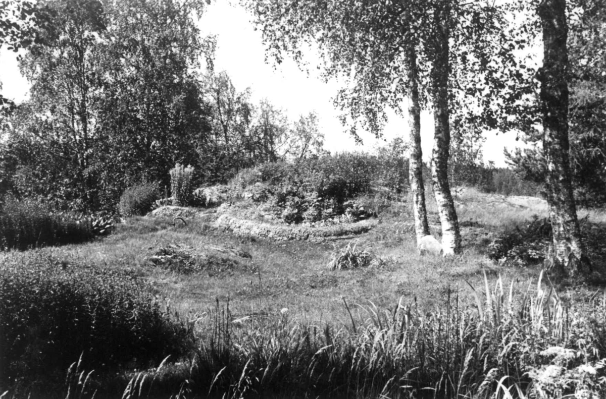 Losby
Fra dr. Eivind S. Engelstads storgårdsundersøkelser 1954.