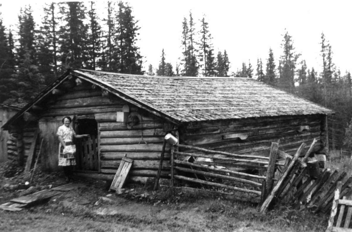 Budeie Petra Kilde på Livollen seter i Trysil i Hedmark. Sommerfjøs med ...