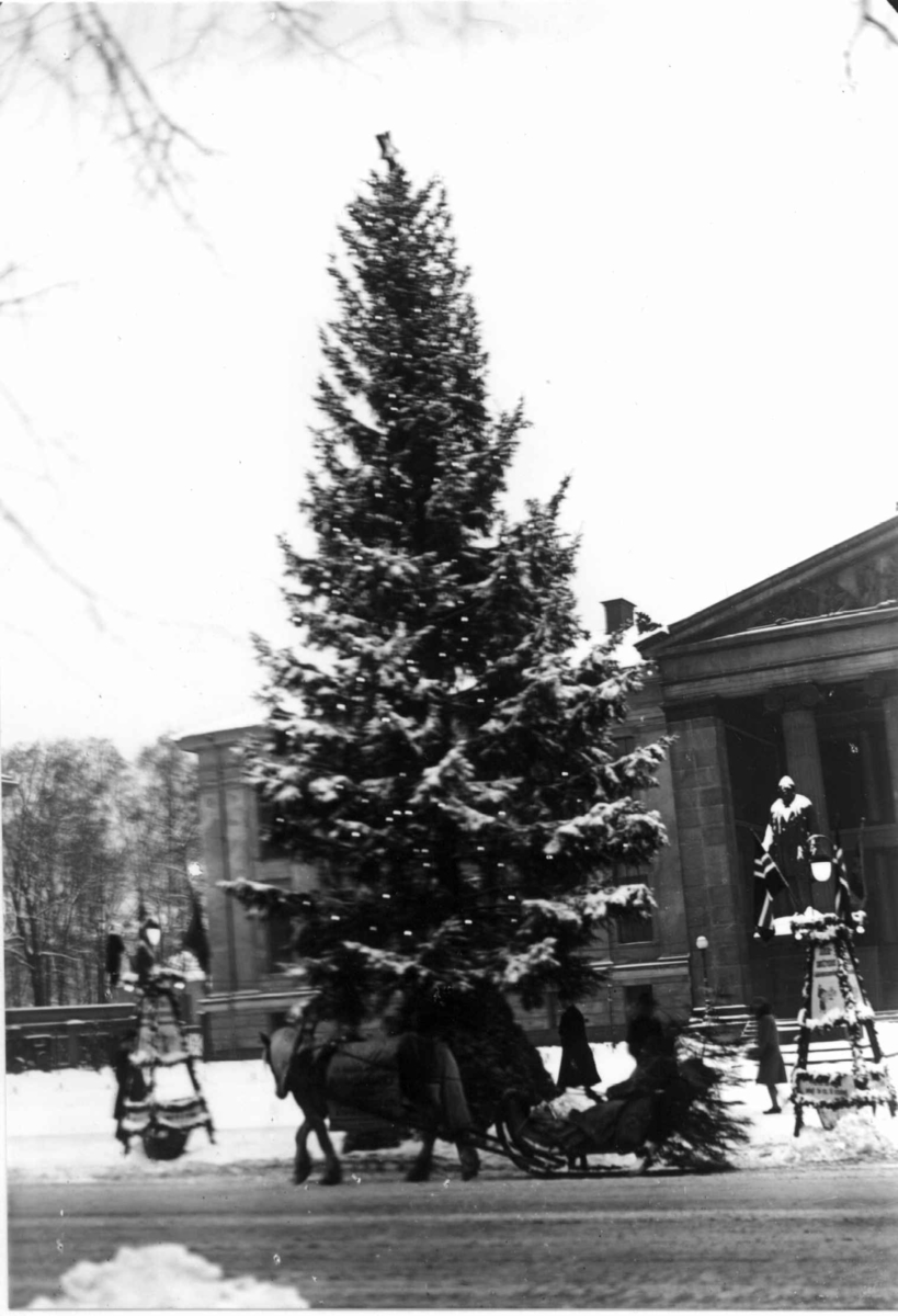 Oslo. Juletreet på Universitetsplassen. 1930.
Hest og slede i forgrunnen. Fotgjengere. Statuer og Universitetet i bakgrunnen.