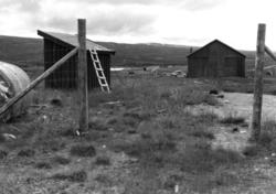 Reinslaktehuset. Saltfjellet 1964.