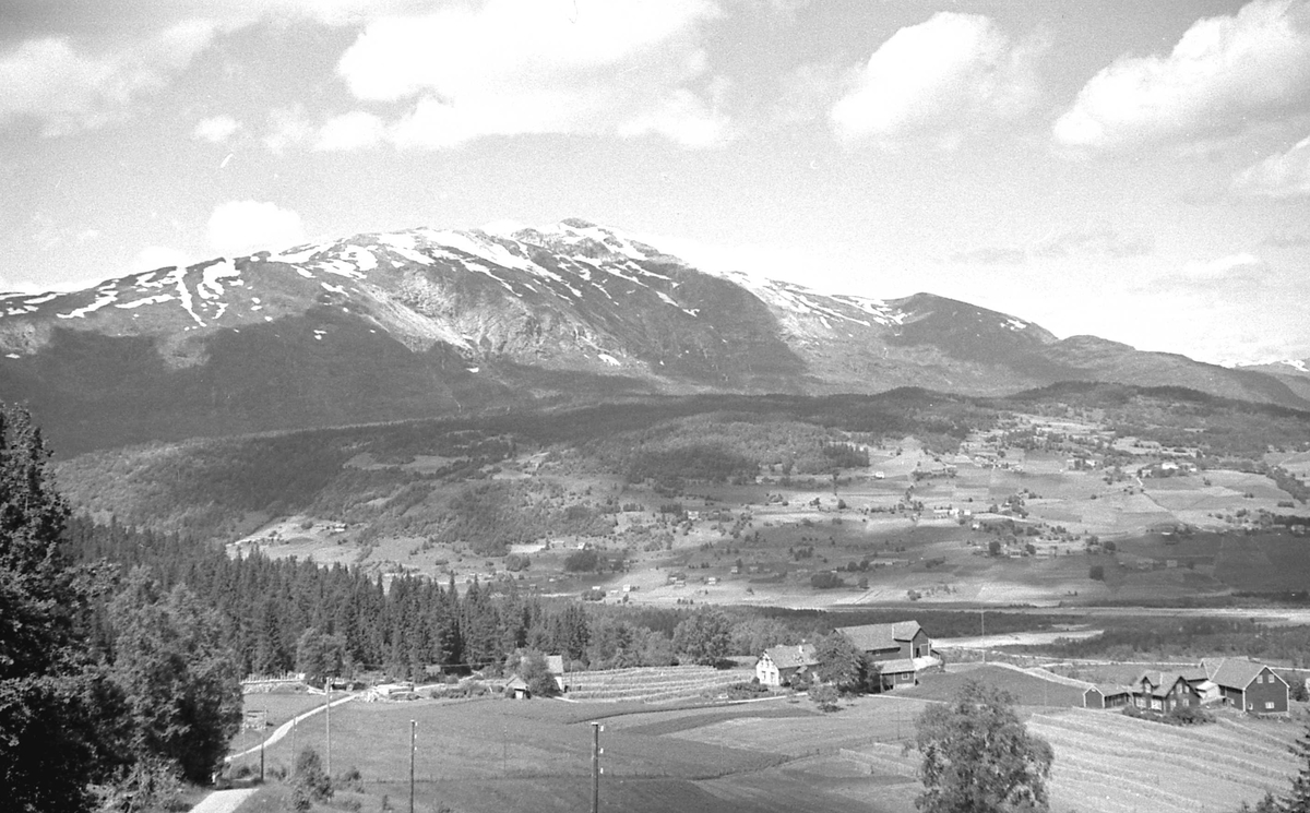 Bilder fra Auro med Lønahøgdi i bakgrunnen. Voss i Hordaland.
