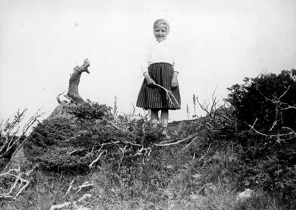 Pike med kvist i landskap, ukjent sted.
Serie tatt av Robert Collett (1842-1913), amatørfotograf og professor i zoologi. 