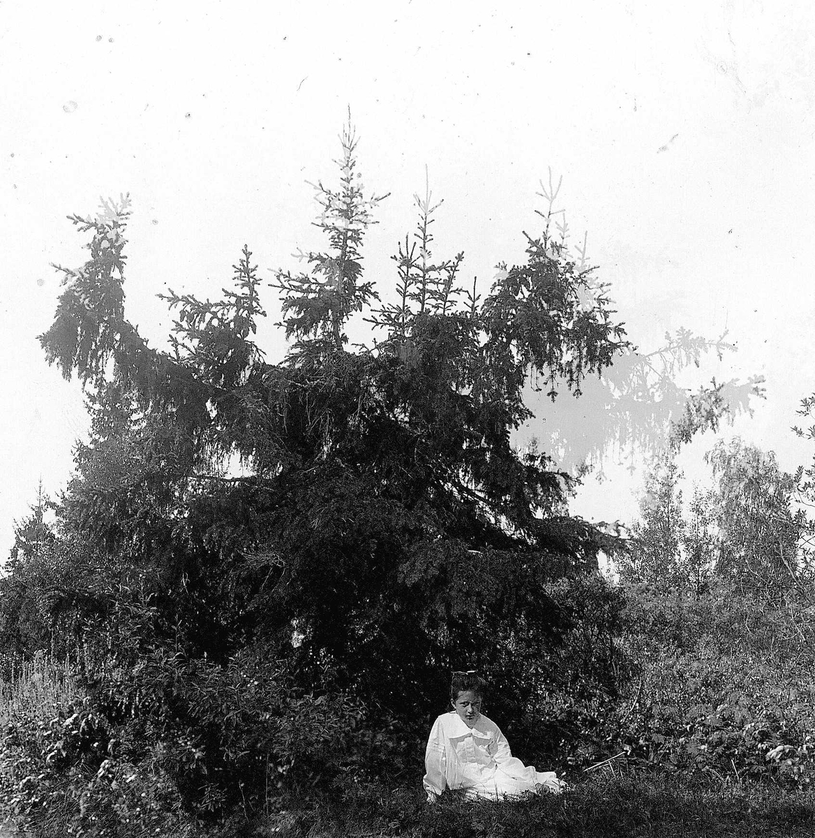 Skogparti med sittende pike, ukjent sted.
Serie tatt av Robert Collett (1842-1913), amatørfotograf og professor i zoologi. 