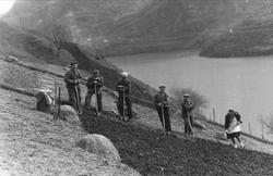 Fra gården Havrå på Osterøya. Våronna gjøres unna manuelt.
