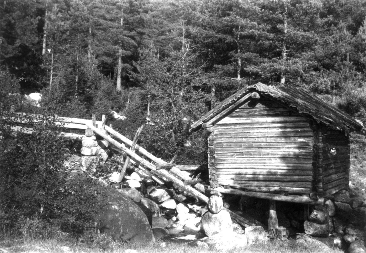 Møllekvern i skogen sør for Austenå, Tovdal 1936.