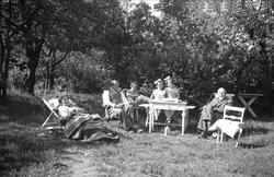 Familen Arentz med farmor og farfar i en hage på Nøtterøy. F