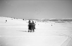 Dordi og Fritjof Arentz på ski.  Gol påsken 1939.